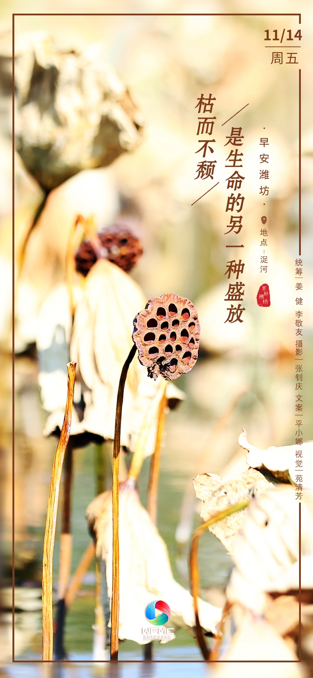 微信图片_20251113165143_146_7