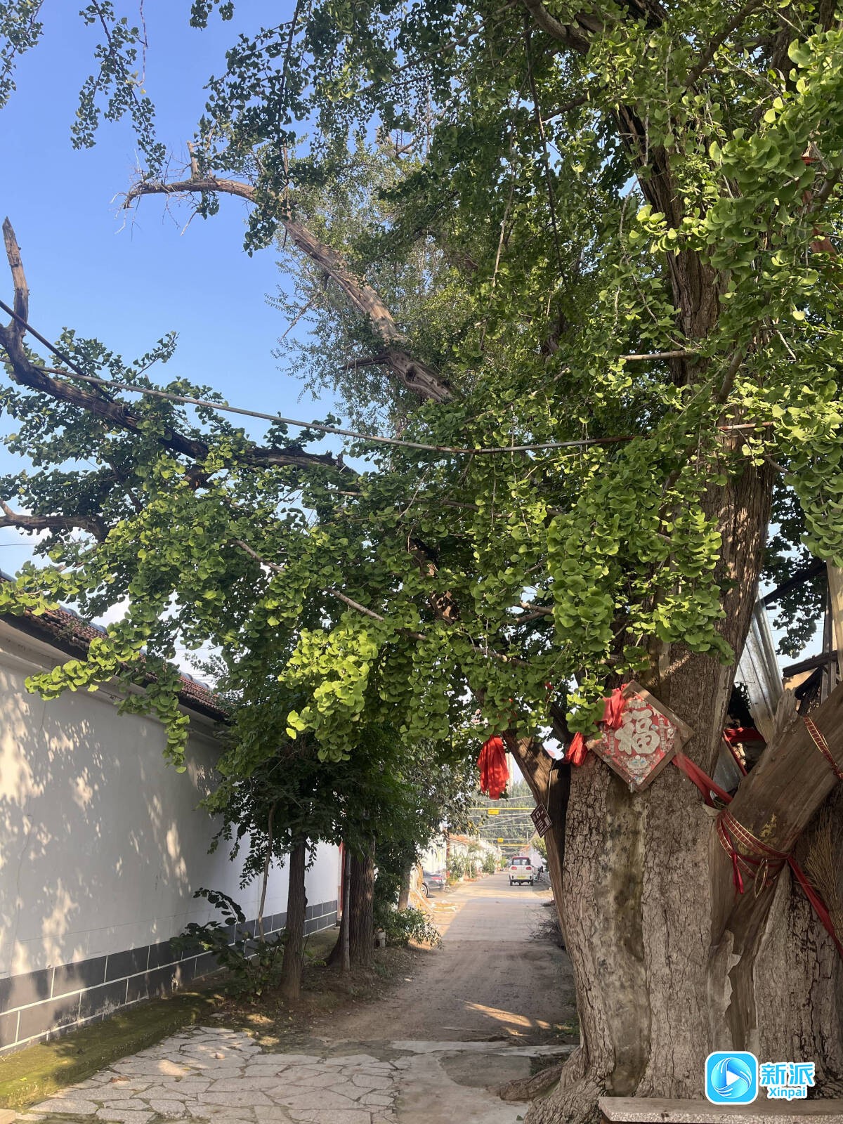 5ad7a38307c08b8f262f87773fd7b993