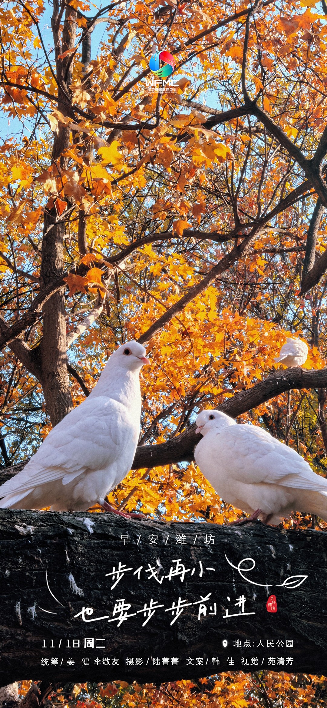 微信图片_20251117191939_406_104