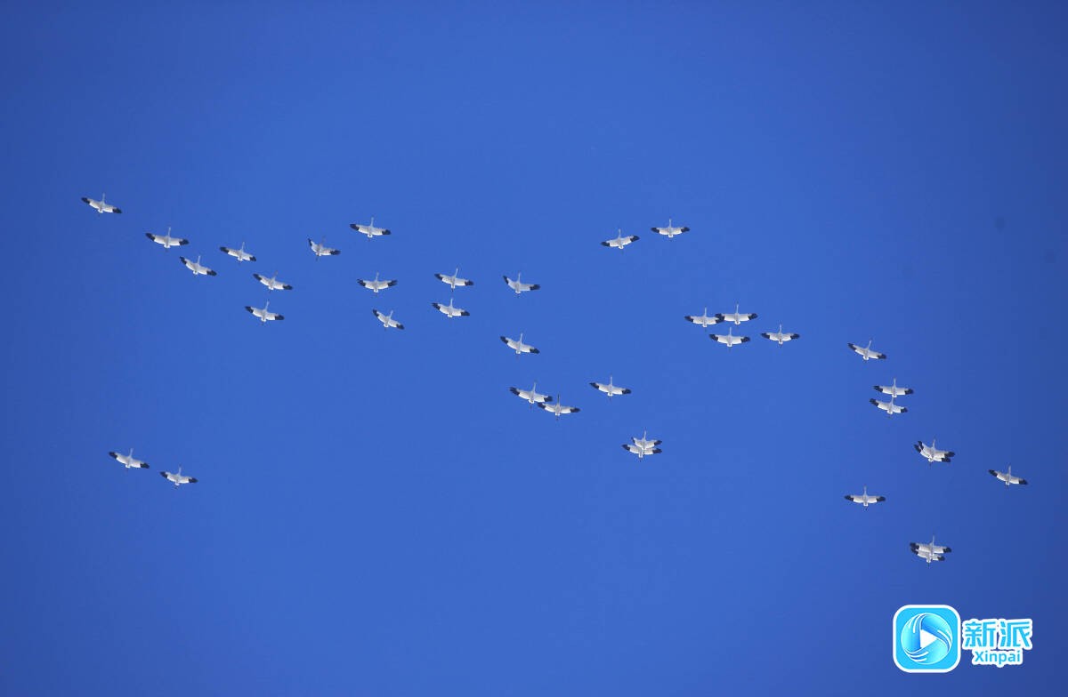 773a9c721347e7cf14c720b43f6c524c