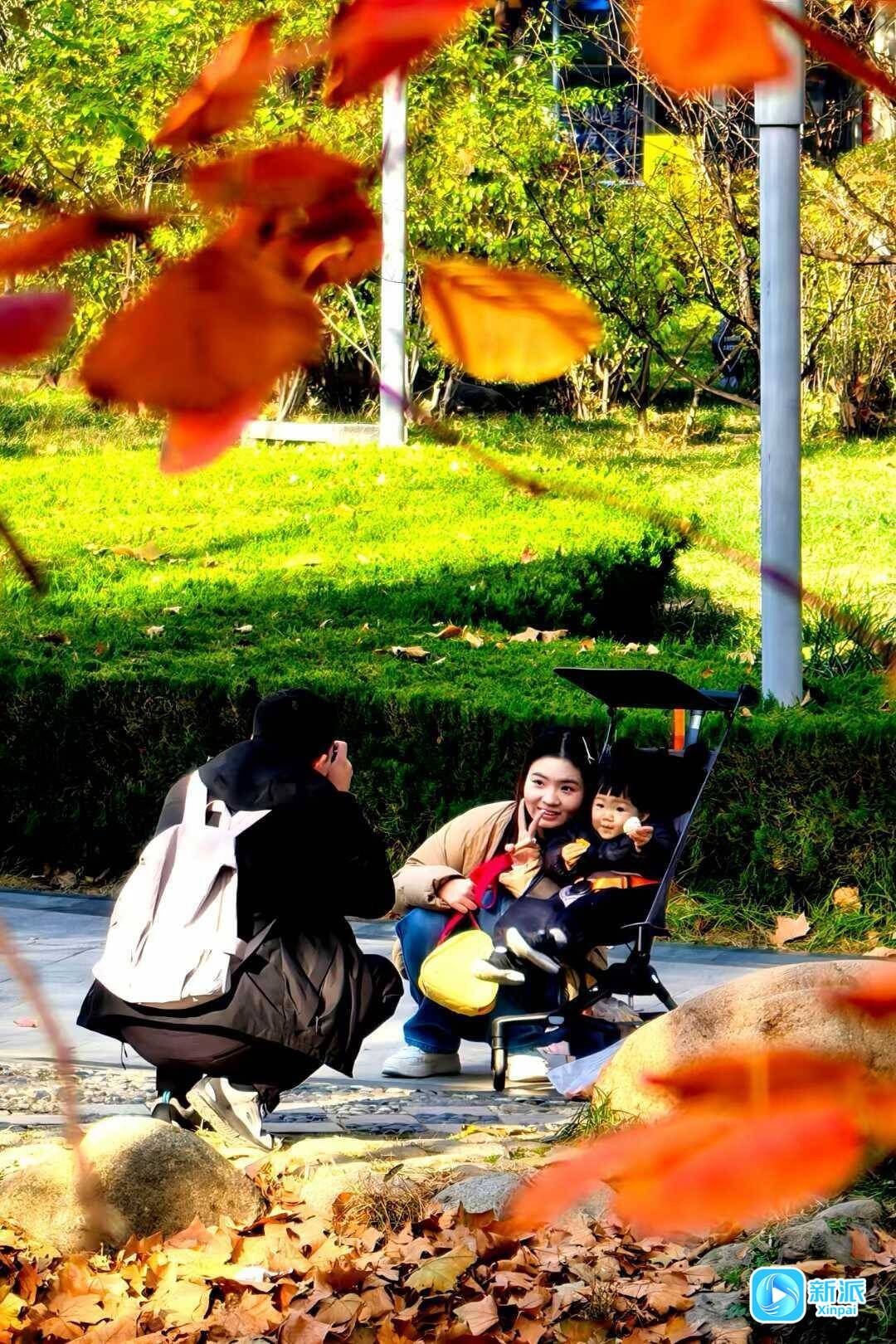 3a3cf8a33ae69169c31034eedaee576b