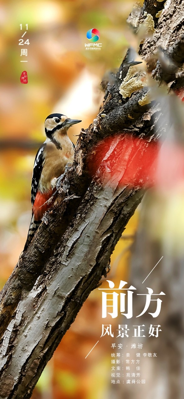 微信图片_20251123104753_240_186