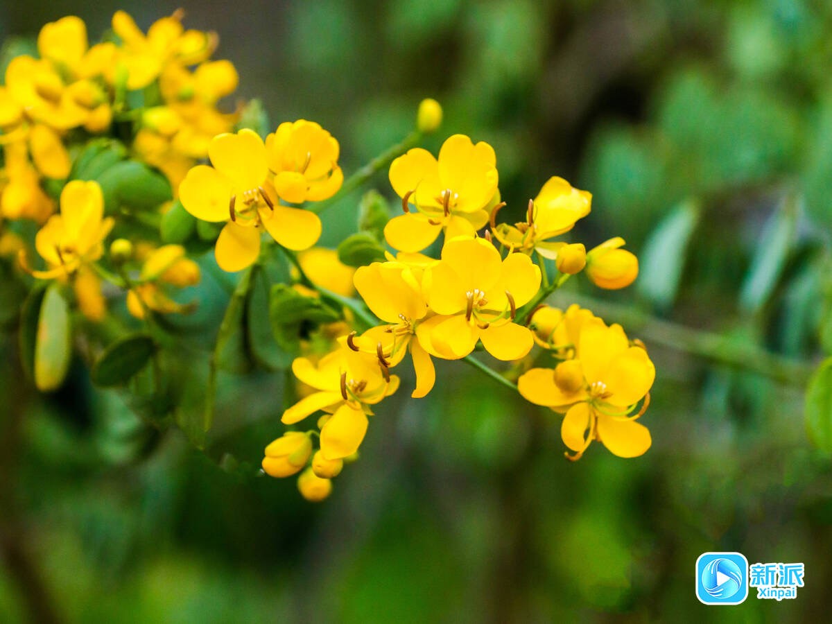 微信图片_20251125163429_1606_46