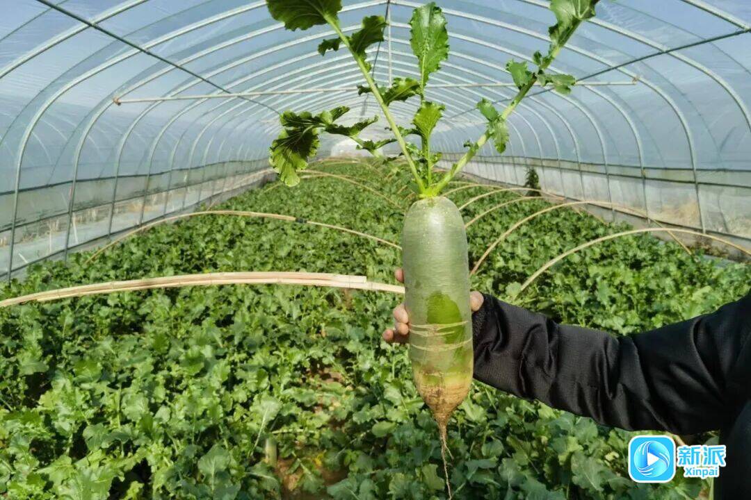 1e20998af10c4a8eab64e6e44cb97c72