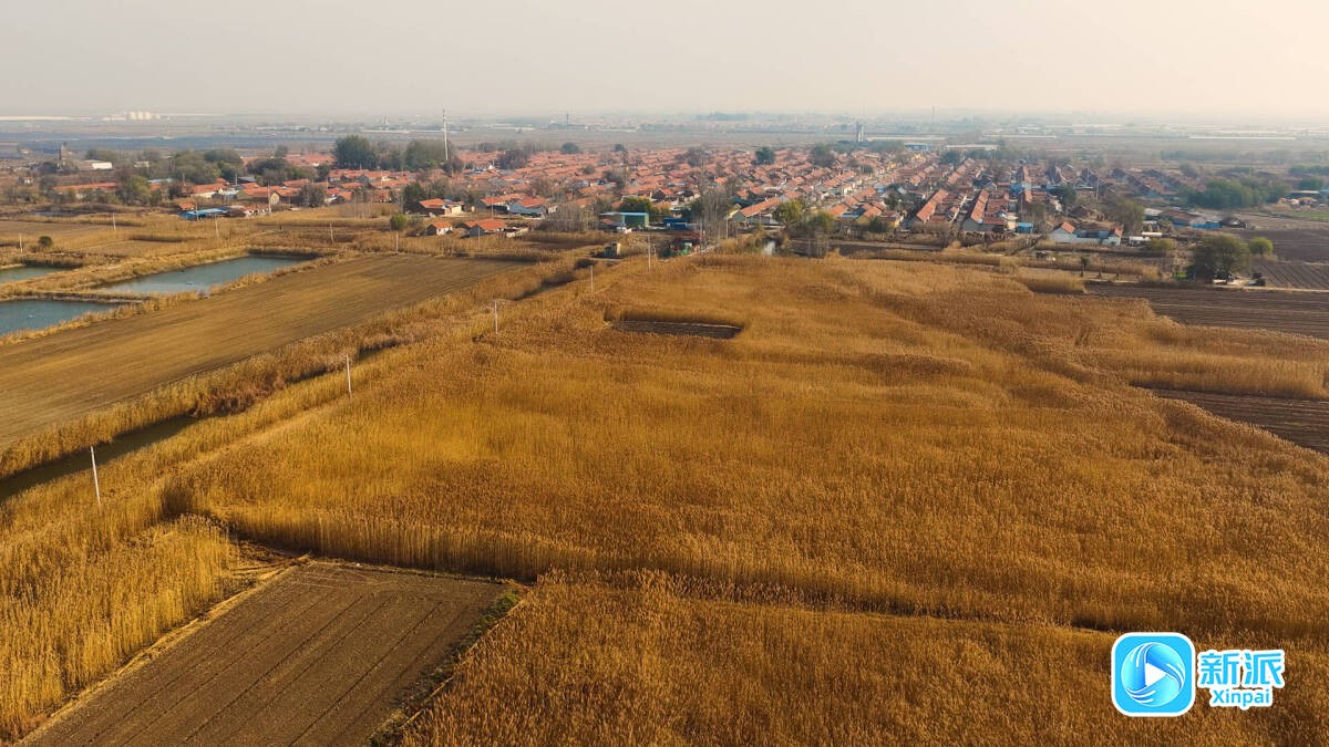 1ac50542cde2fa66406a3848b455da21