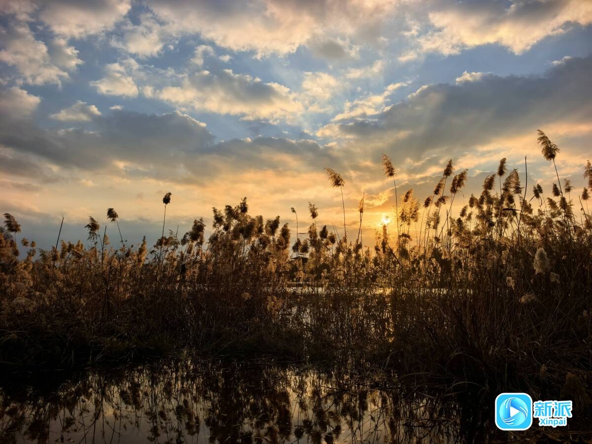 442e1c0b38e9d66cf91135f3d9f2430b