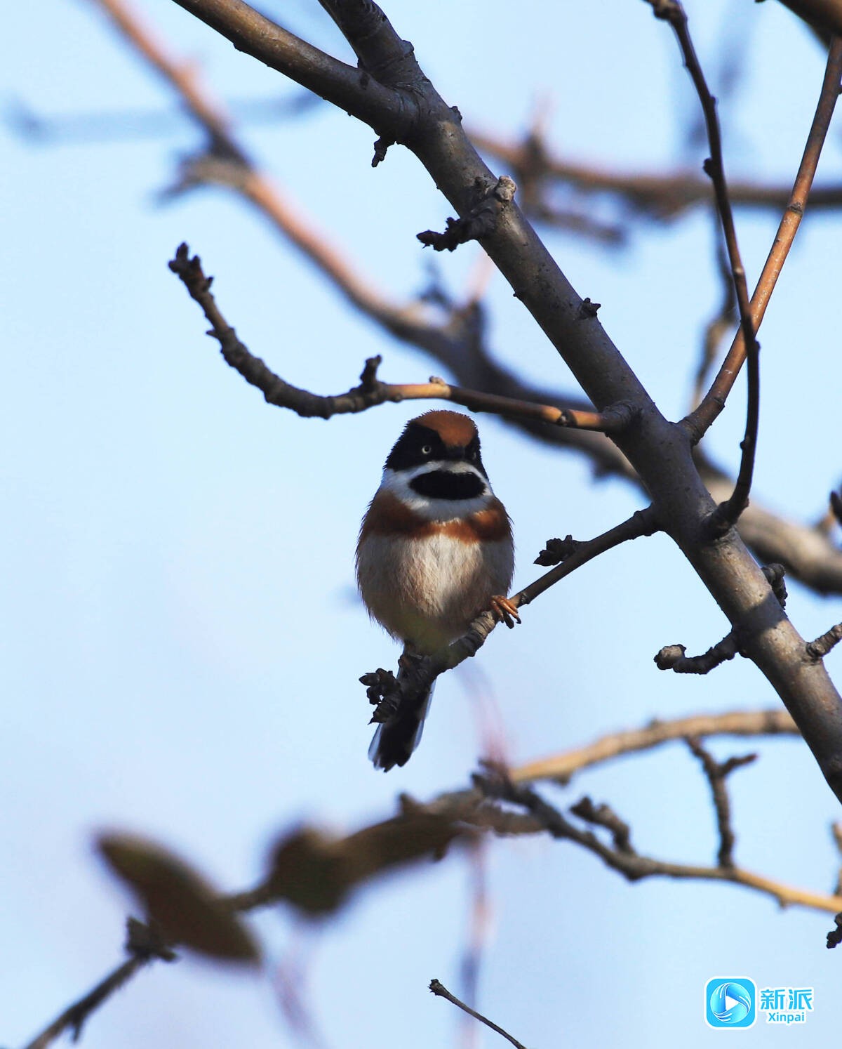 d22ca90358f66a6364228d36f406f3c2