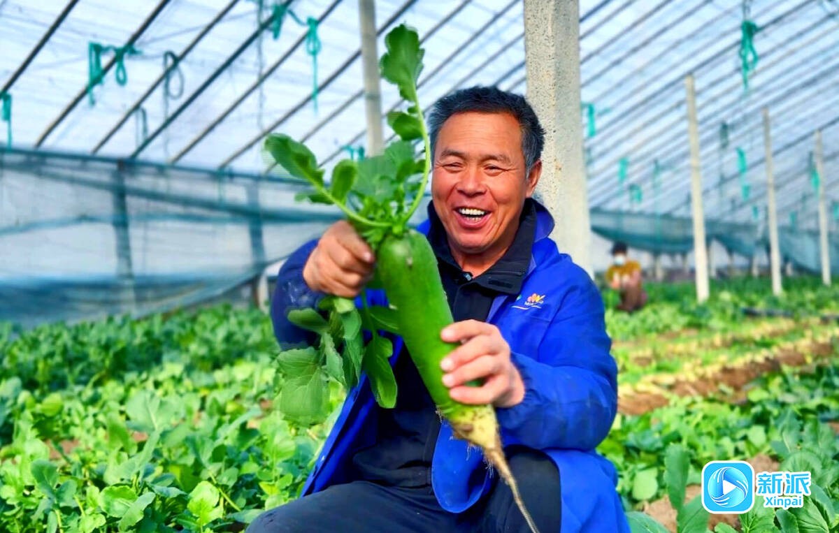 2c2f34ea9f91372a8de2a70da5edbe84