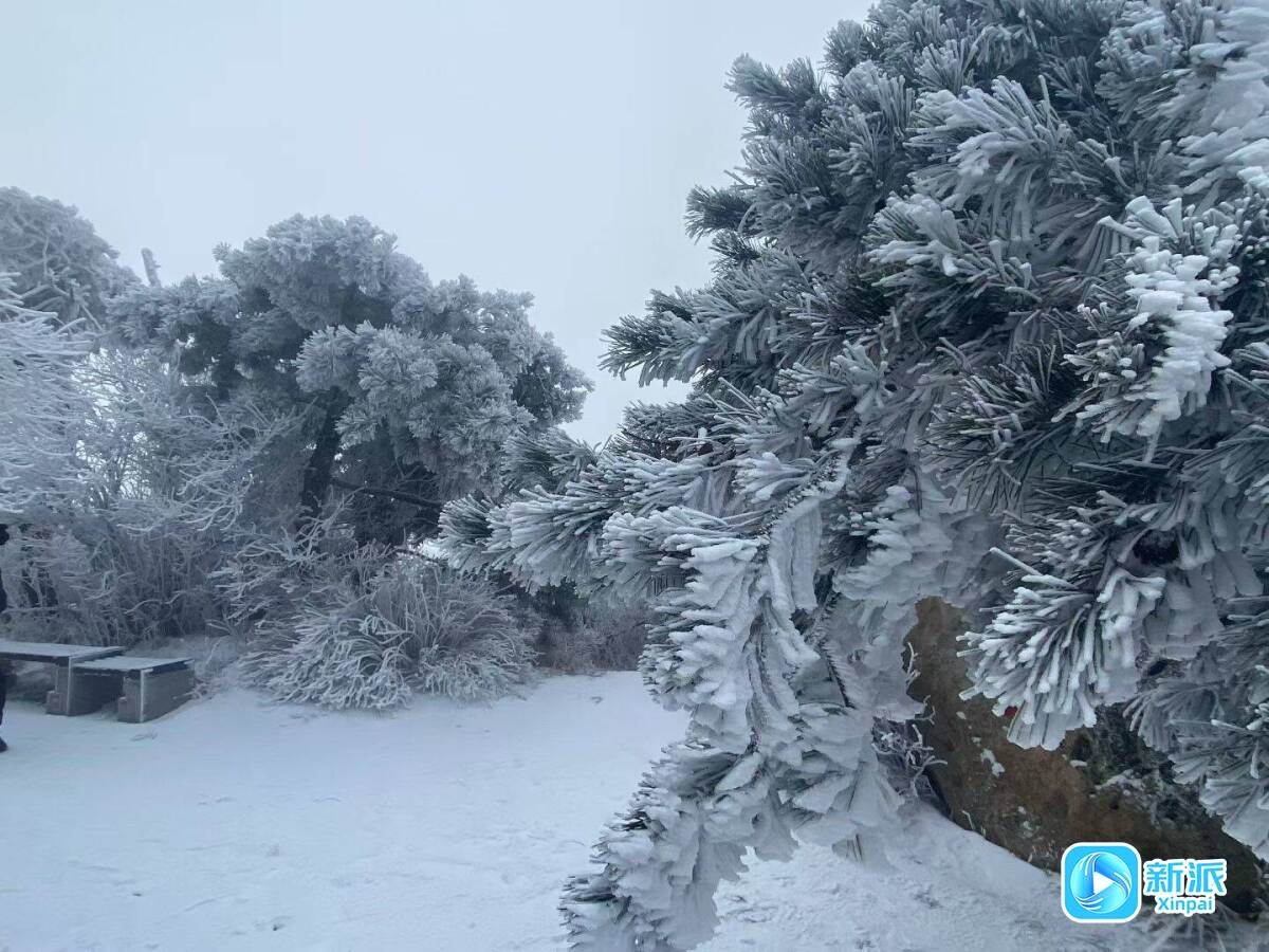 微信图片_20251202175636_1700_46