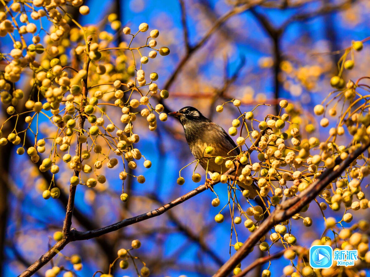 34e16f1de2caca2a68d8a165ef64d463