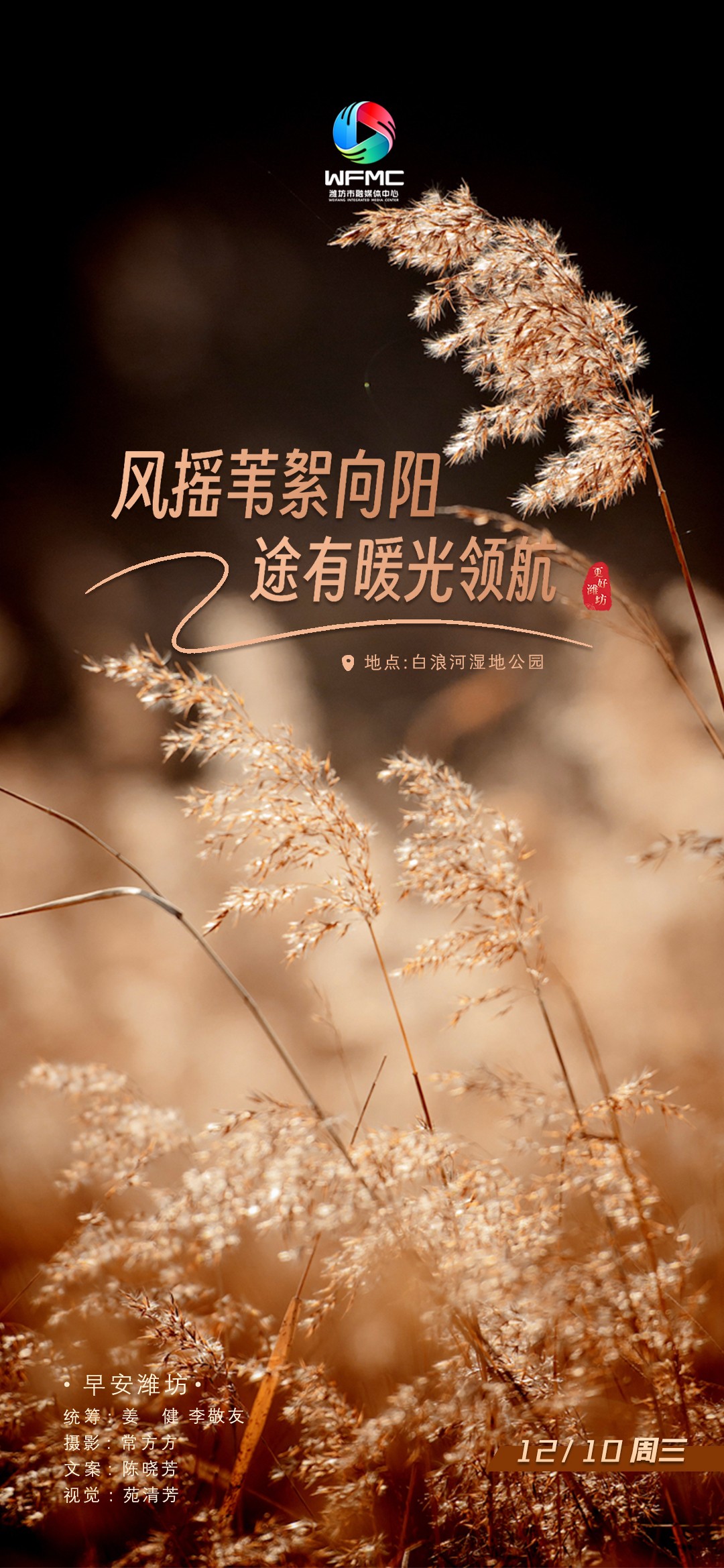 微信图片_20251209174836_303_178