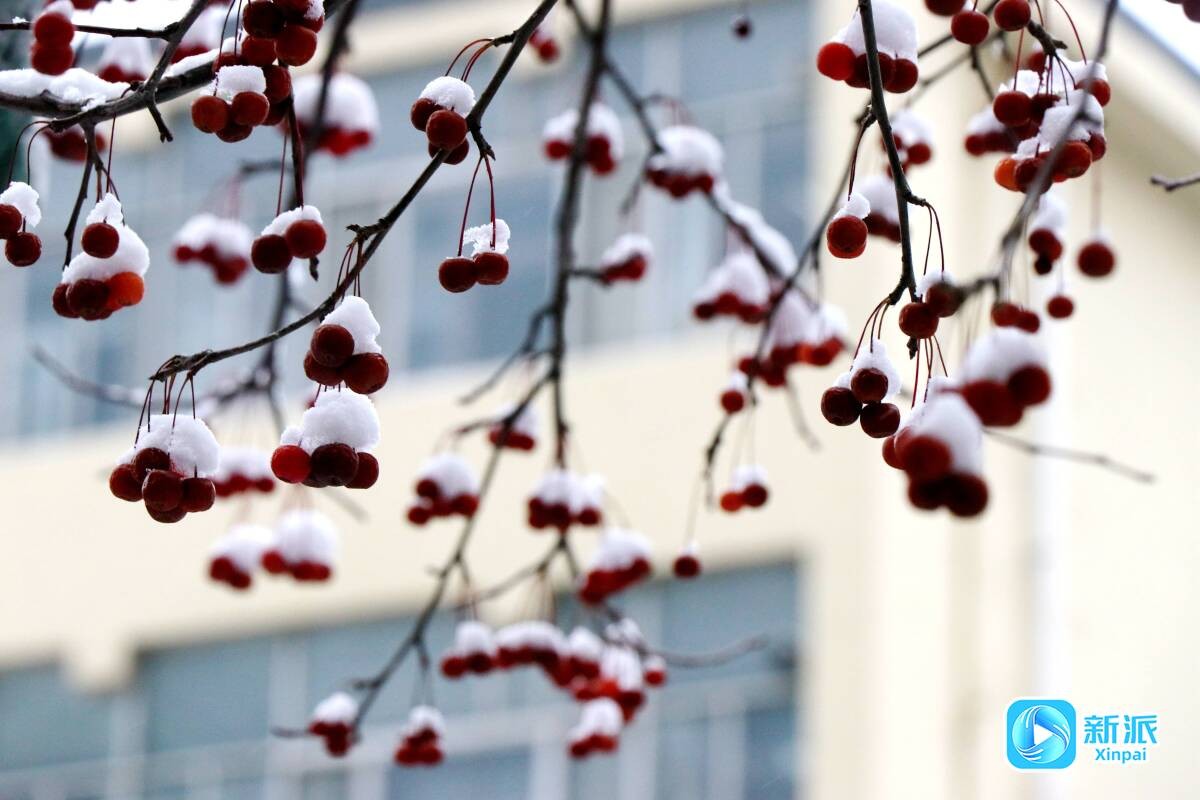 c40f6e960575447a91307598fcb83822