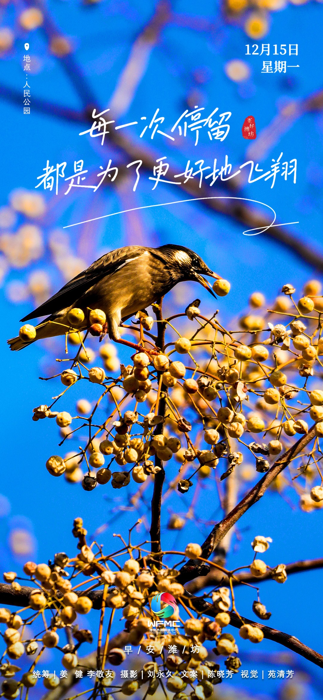 微信图片_20251214191906