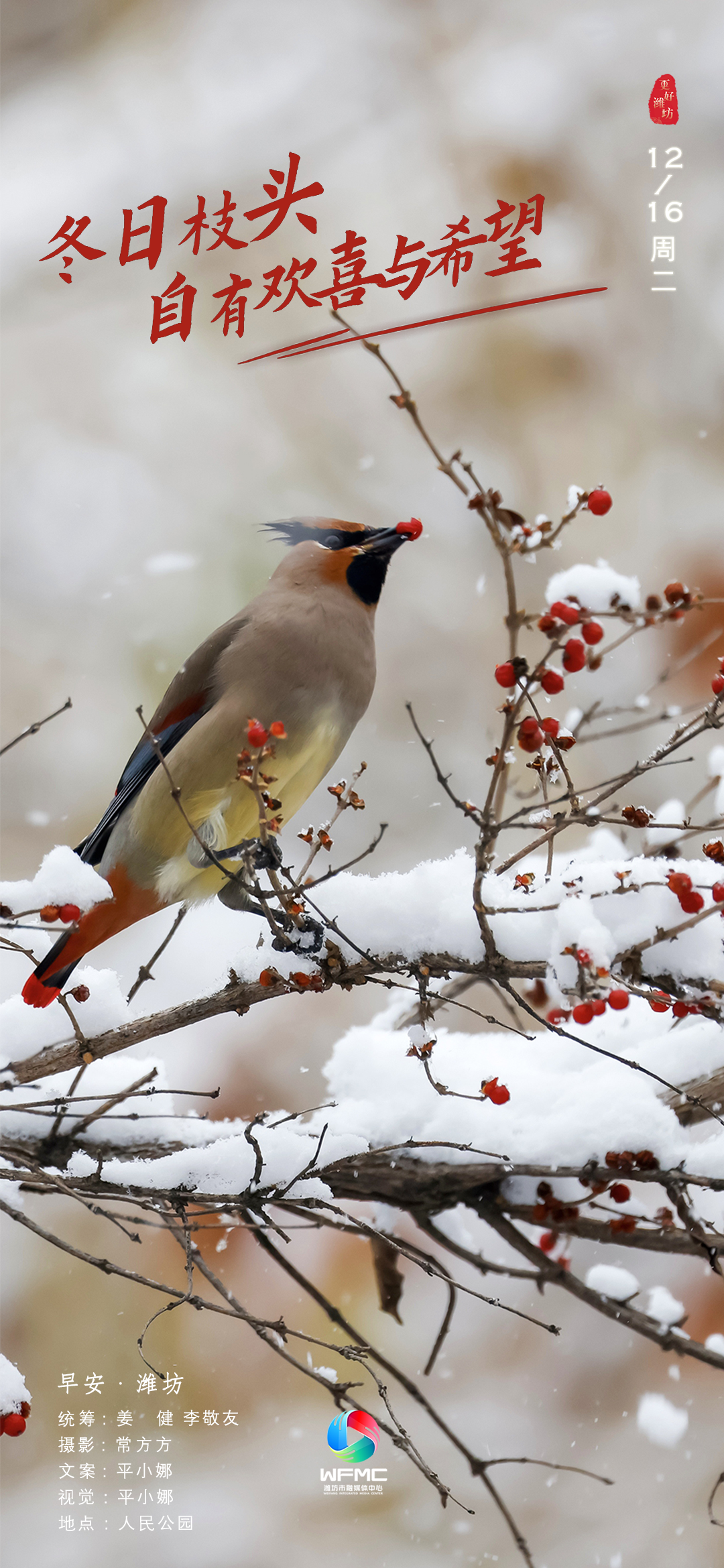 微信图片_20251215165544