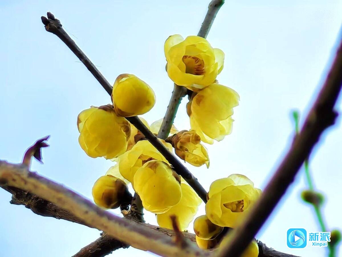 edbf58e8d950de85476a088a1965df6b