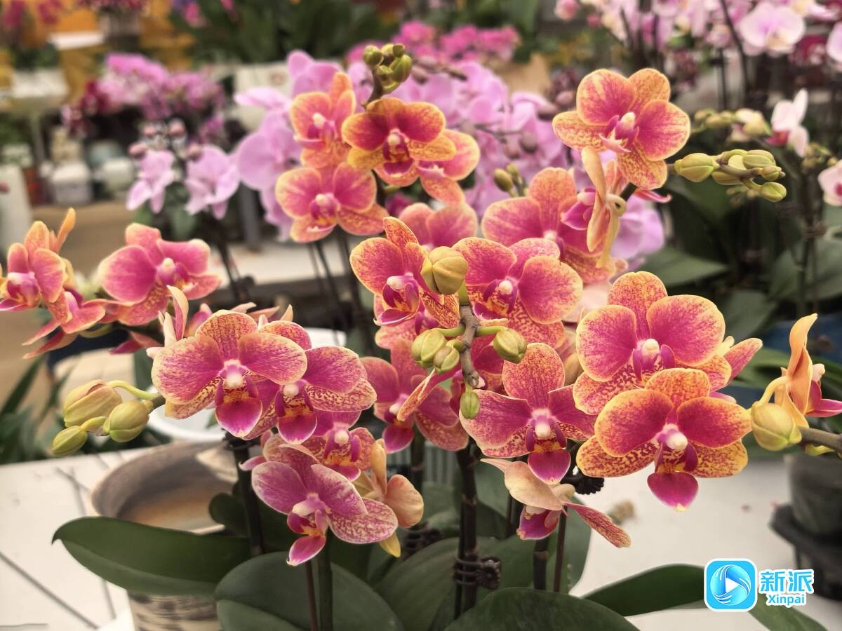 8d0b9b3d7668b522b954b3b22d3f521b