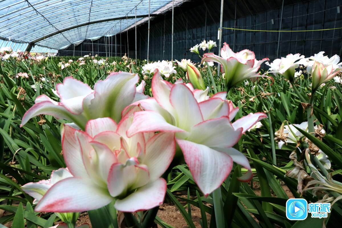 e17e2c4c1e7842a78a077d484de16671