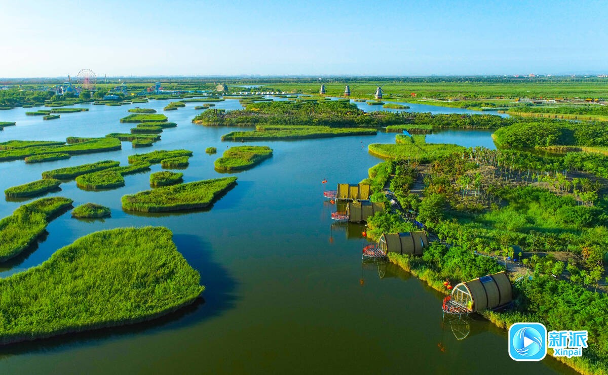 81dd4088da488cf4beaca6ca6d43ea3e