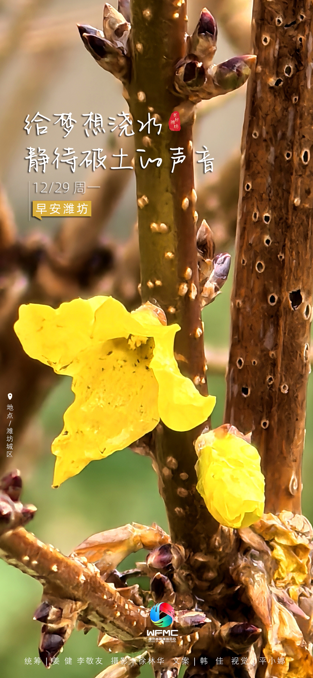 微信图片_20251225163058_504_104