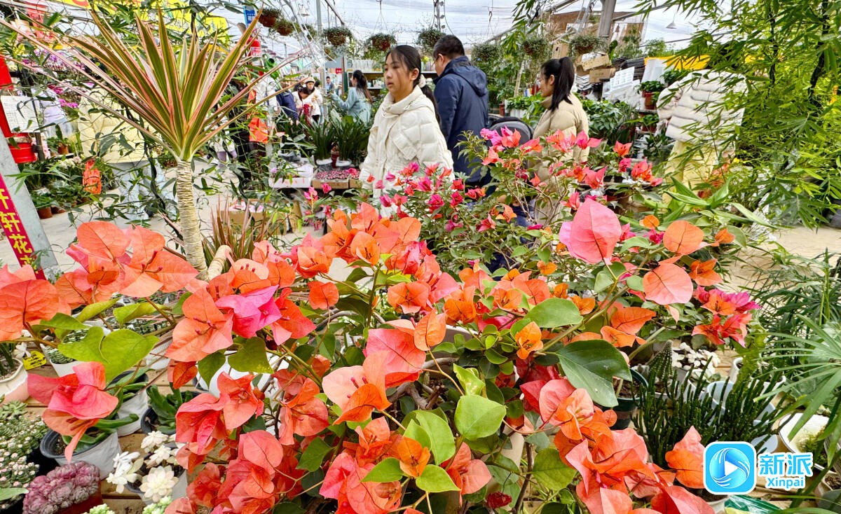 afd0c60e90614758d017503cb1e7af79