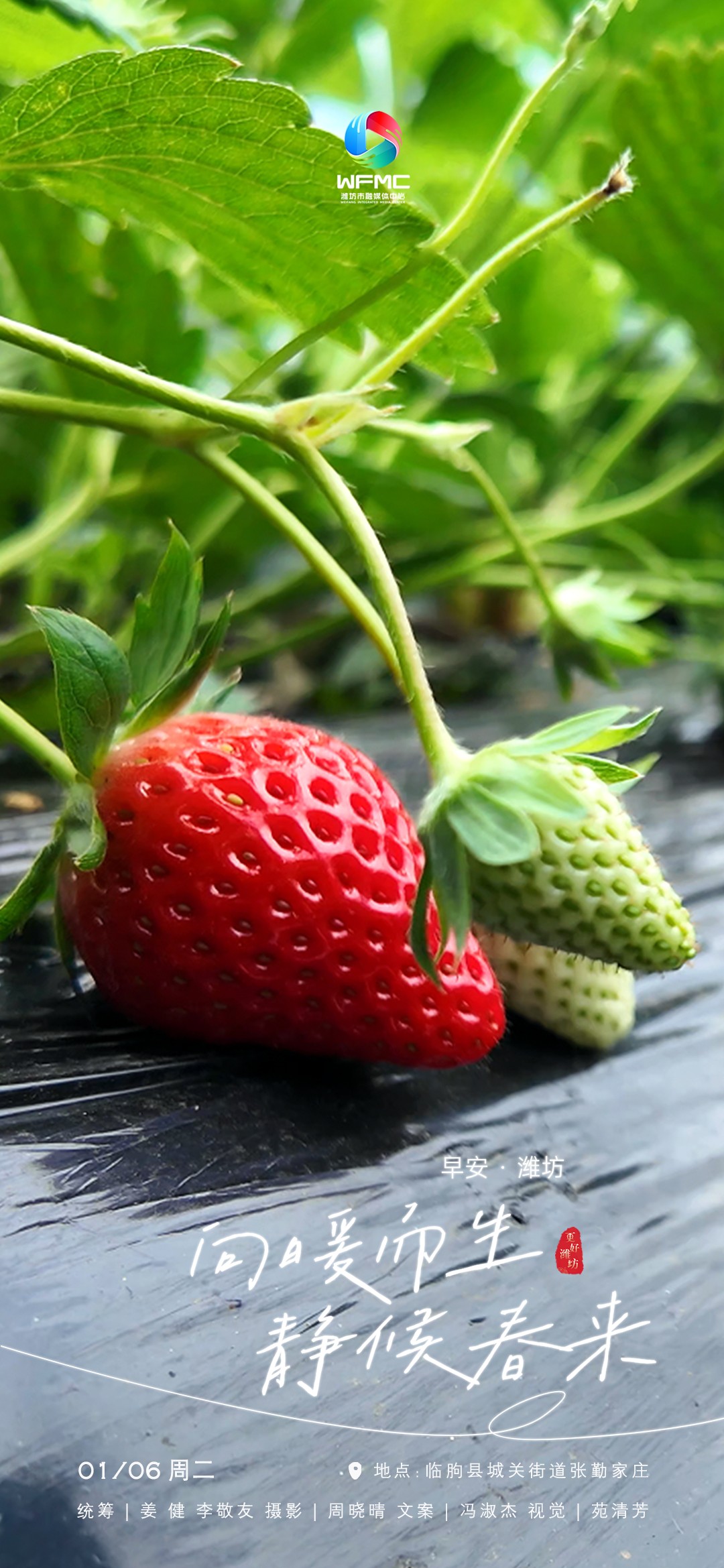 微信图片_20260105165129_260_7