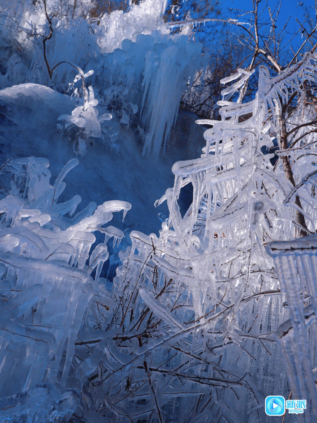 da9e6eddd56edb45ac08e7db3cf0f948