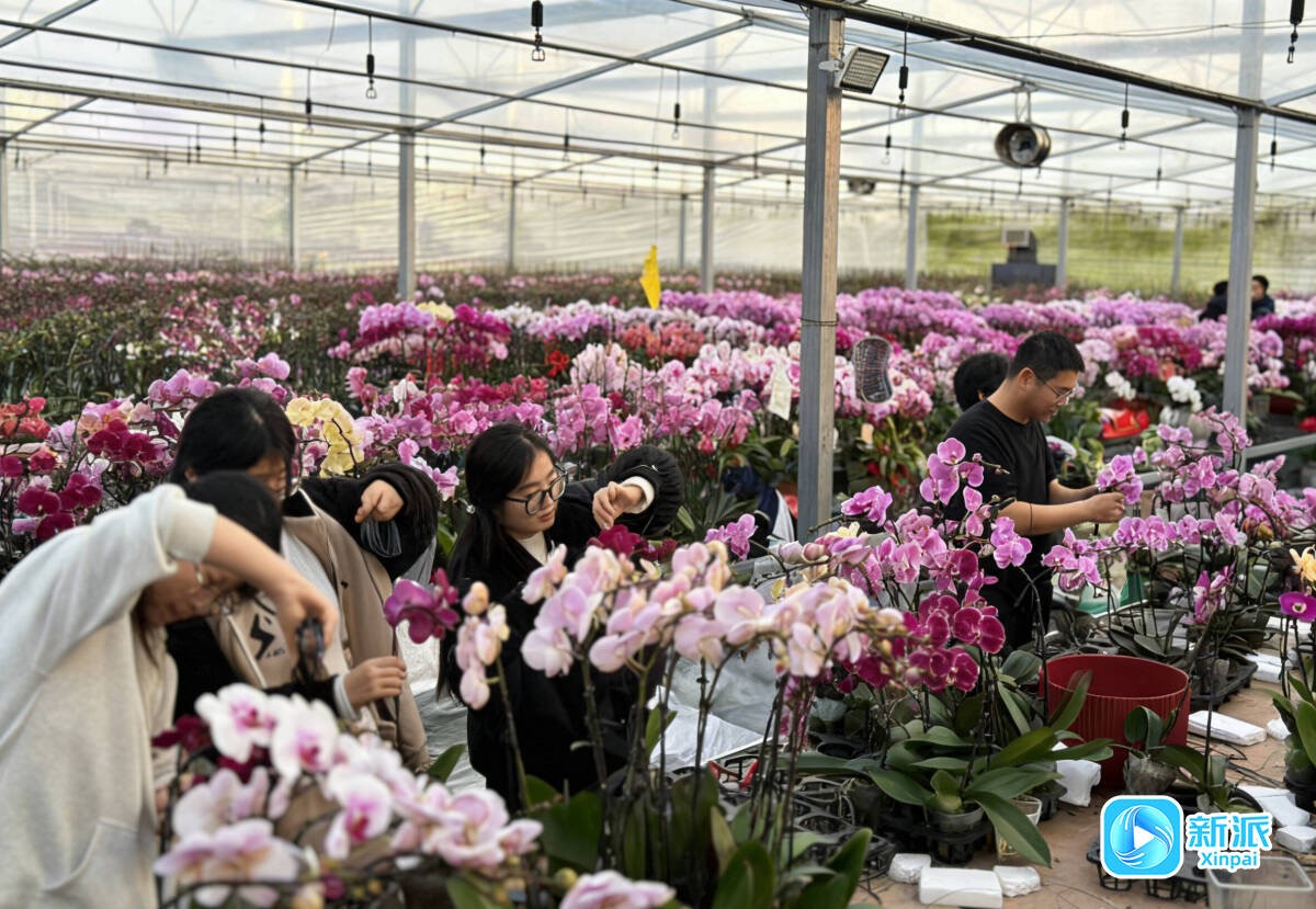 微信图片_20260113211457_2440_46