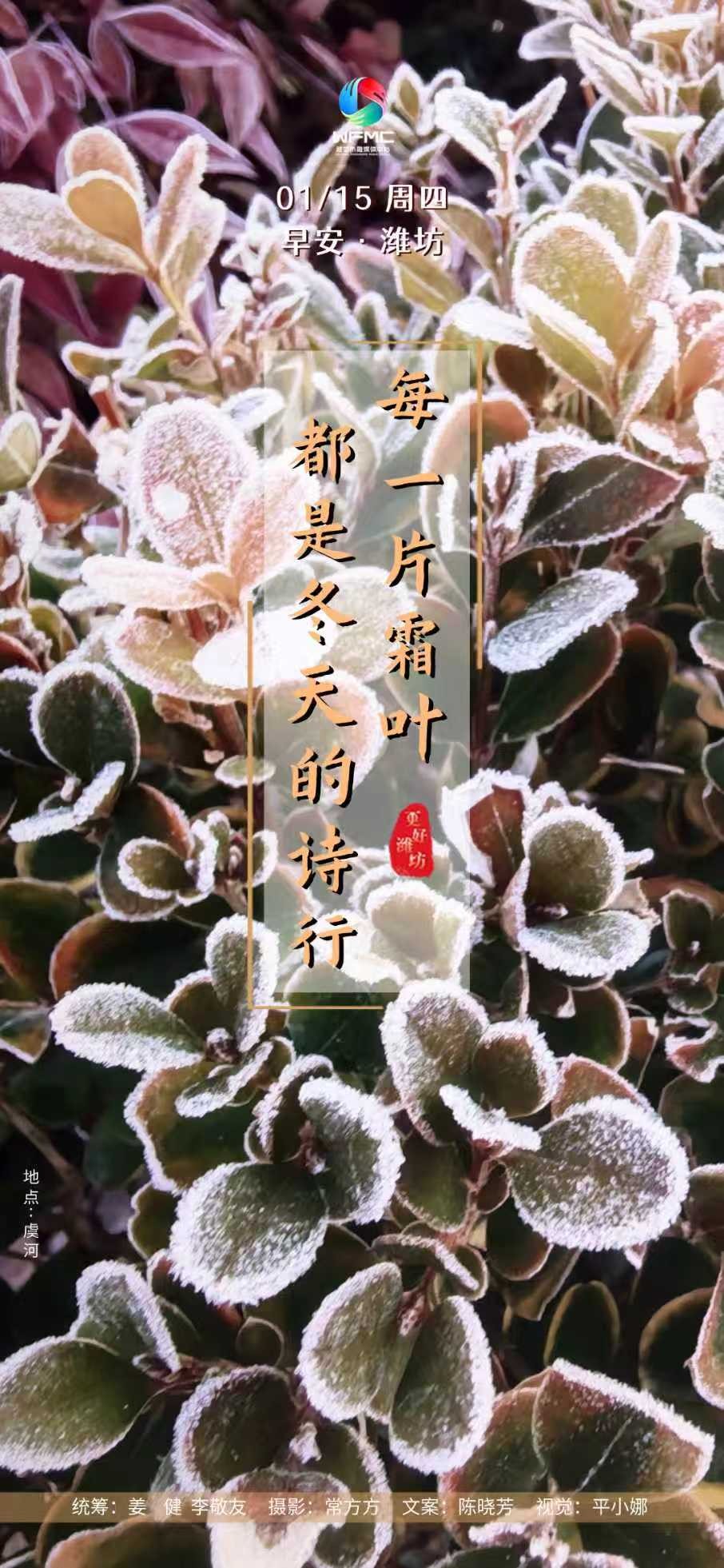 微信图片_20260114100908_608_42