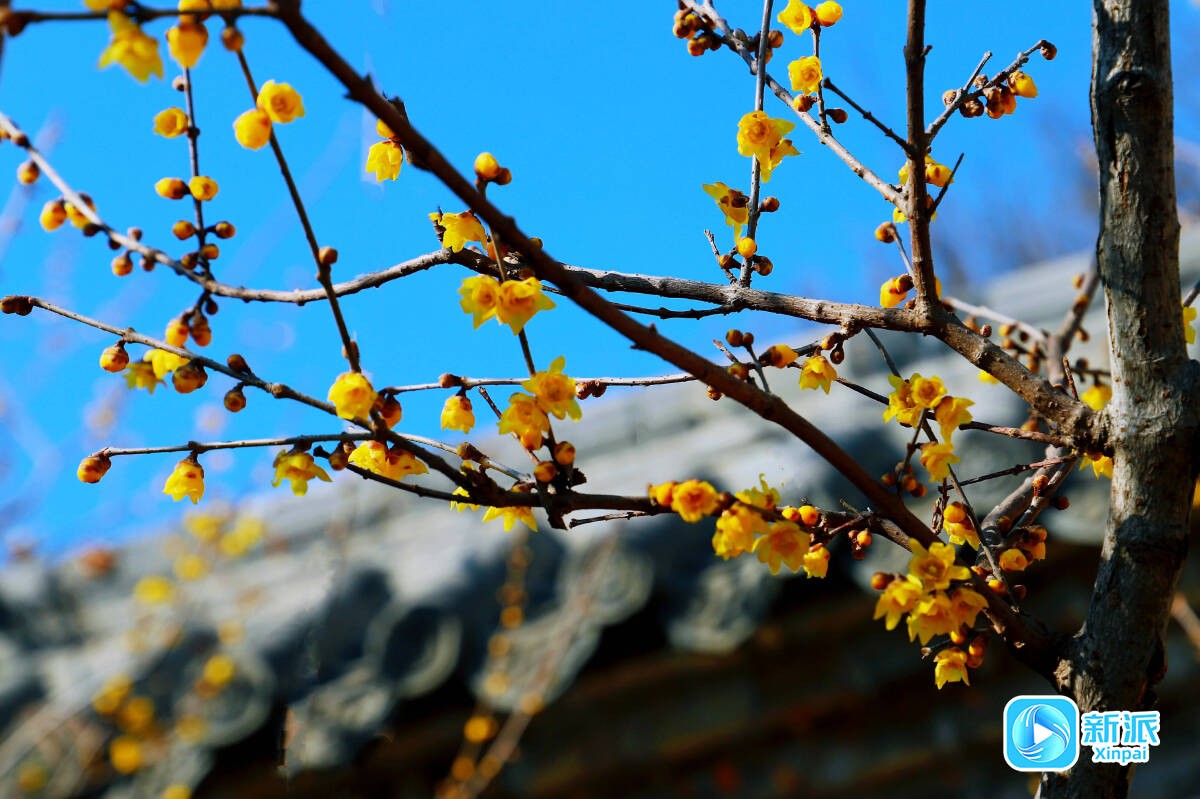 785bc787aaac1cc52a69ee78c5847480