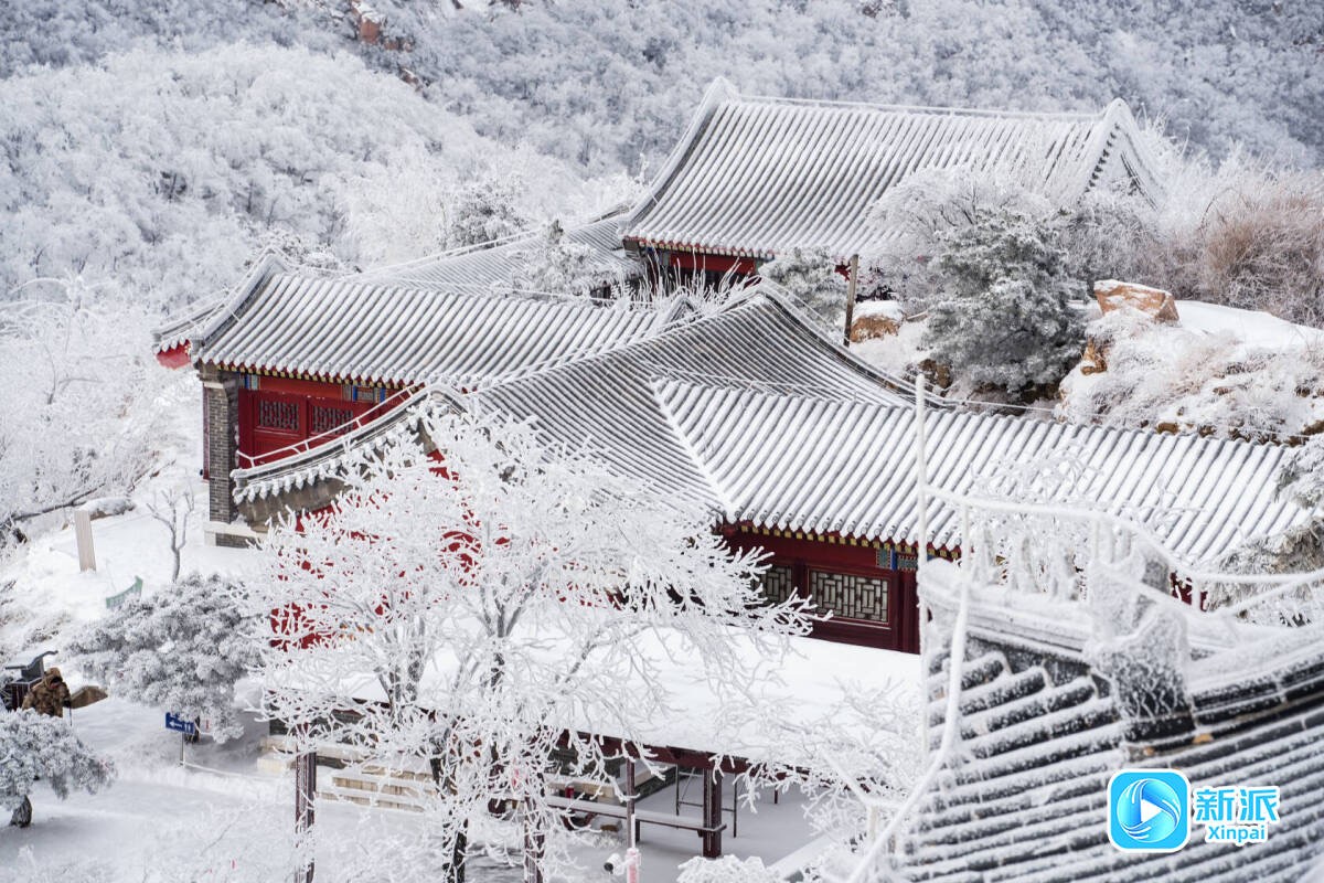 微信图片_20260120185424_2580_46