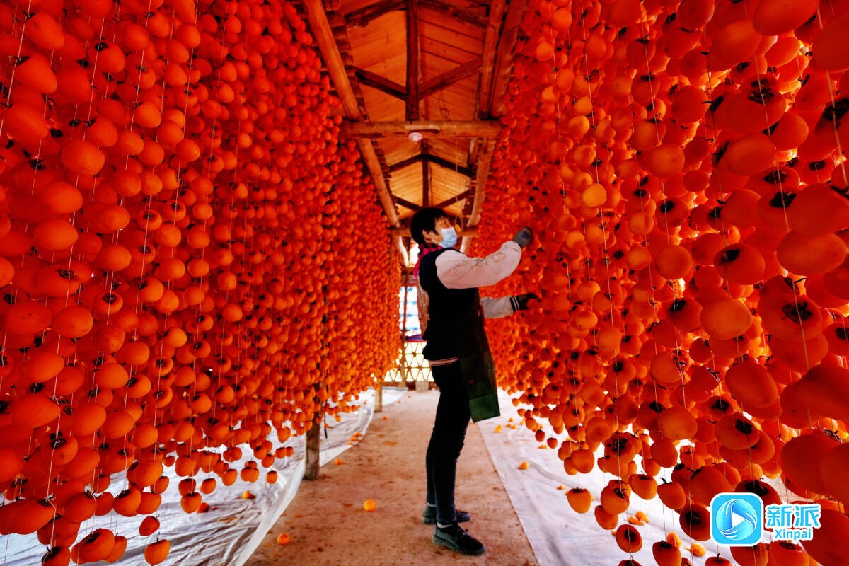 微信图片_20260128152506_752_42