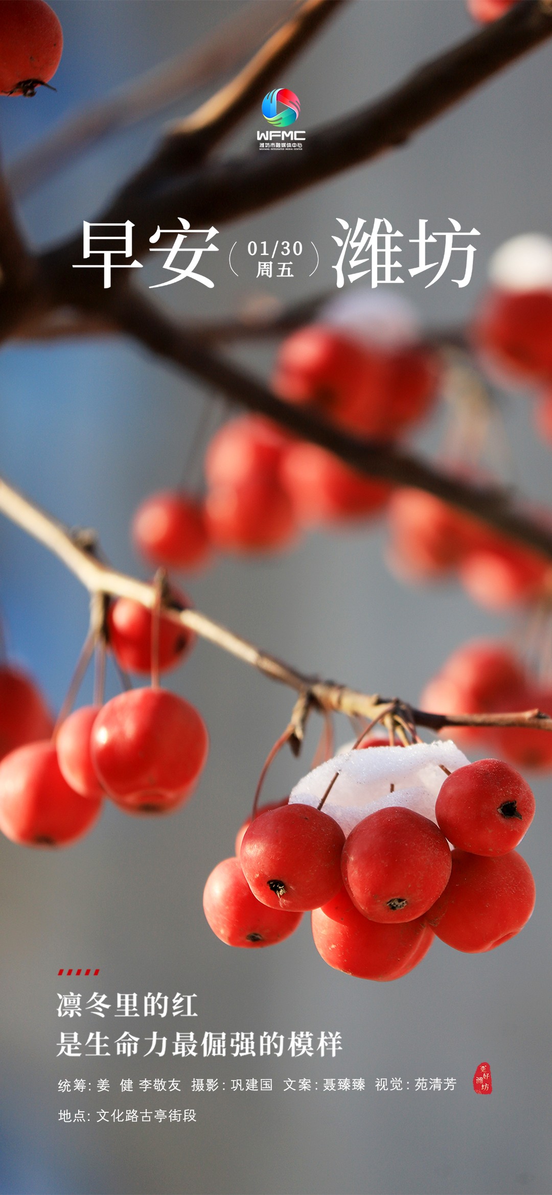 微信图片_20260128171257_456_224