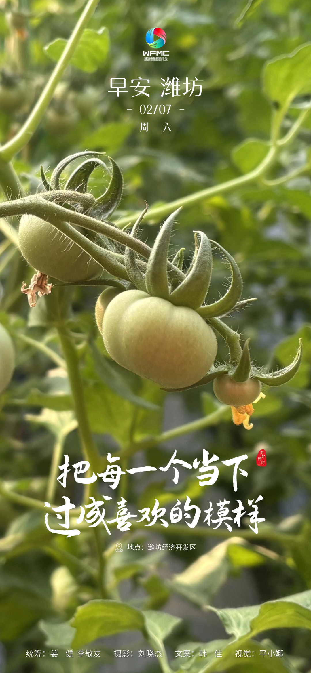 微信图片_20260205155358_475_22