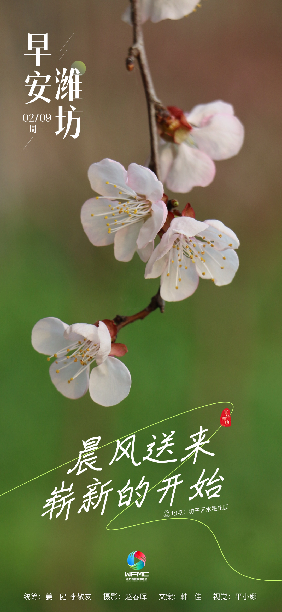 微信图片_20260208084313