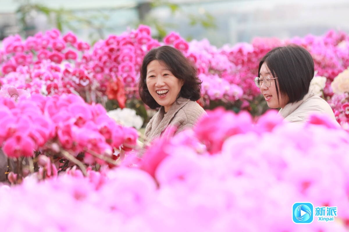 f6844a9660f973a9a3e7db5325bf2d58