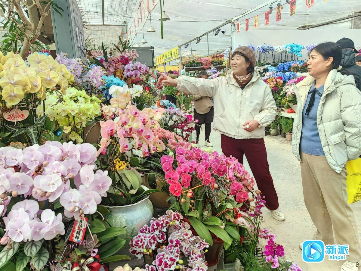 19cd66a4f6675dd650c110f943ac9bb0