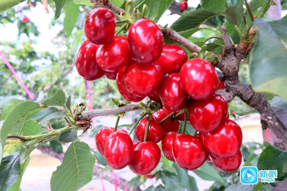 408636a0996bc032f6a37f1f4faf2b60