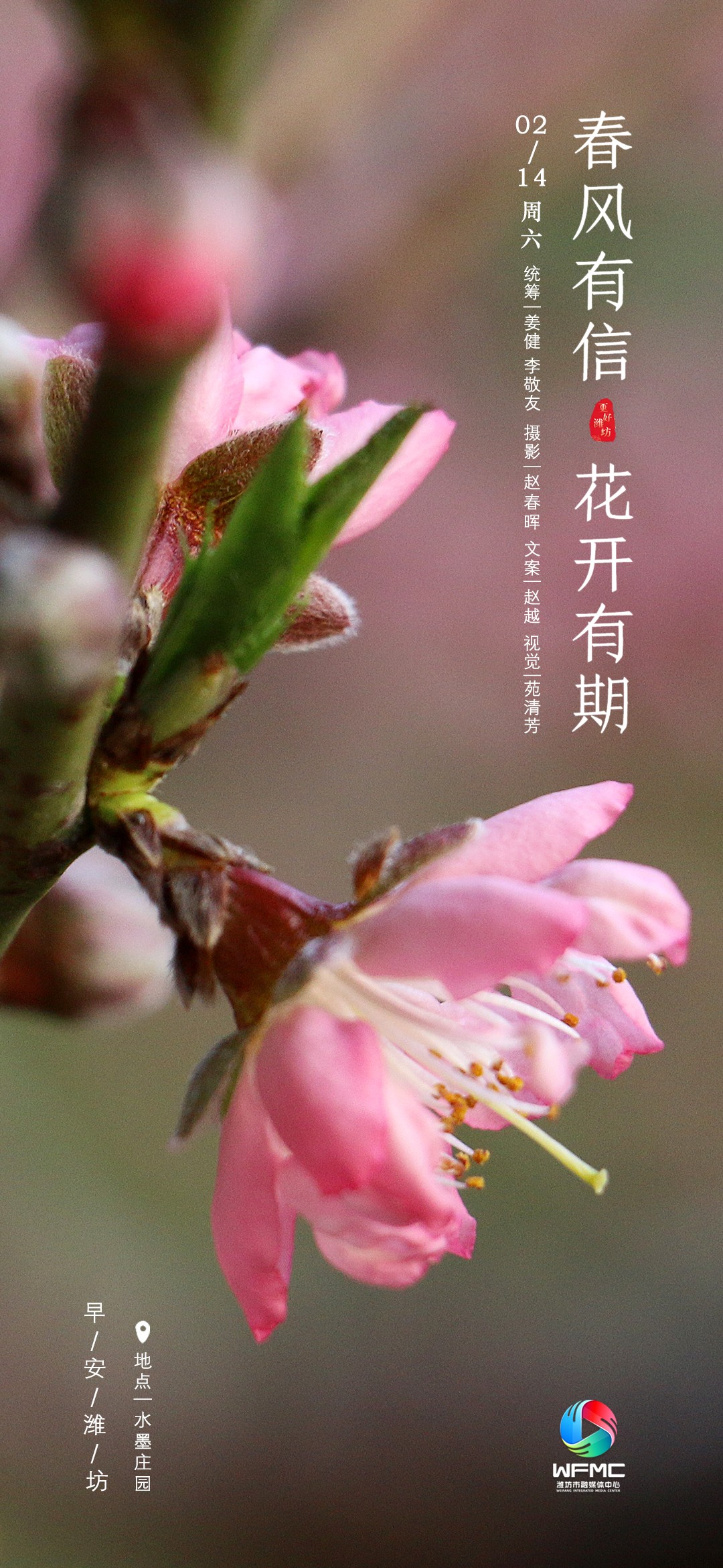 微信圖片_20260213190632_2946_46