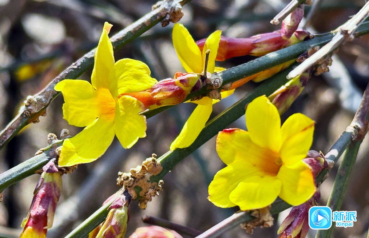 6fe4e0c0f99696f9565c548ca345e461