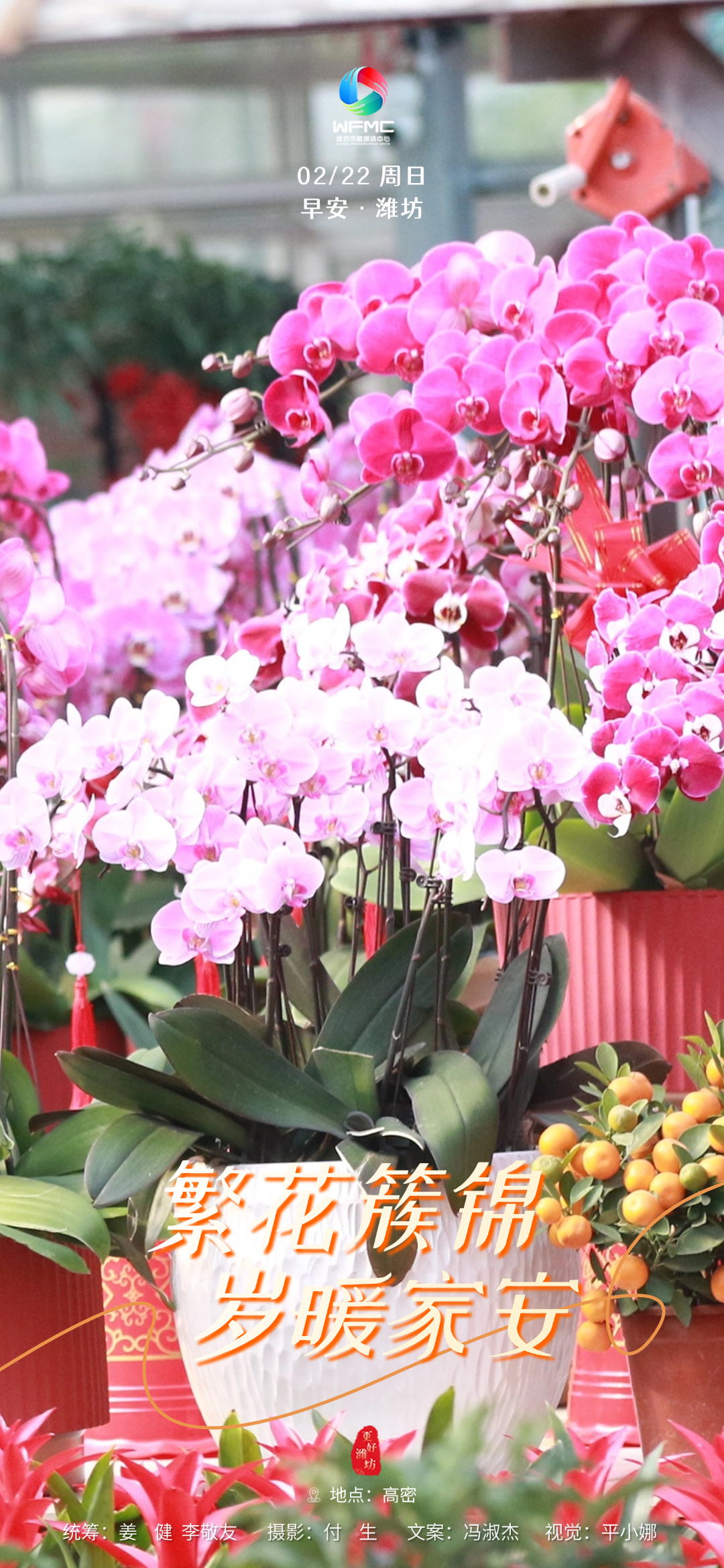 微信图片_20260221142124_665_183