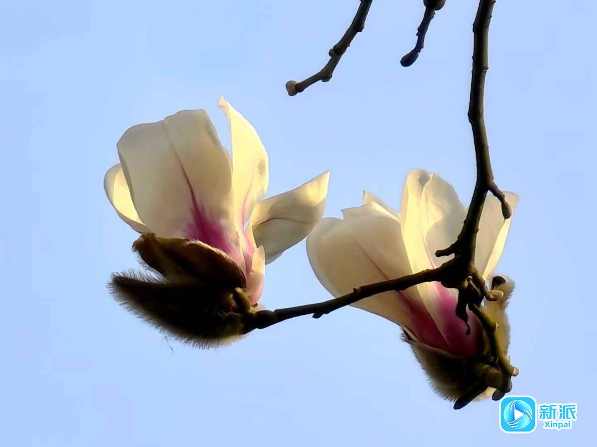 fa333ad4254f6c310cfe0b87f8a665b0