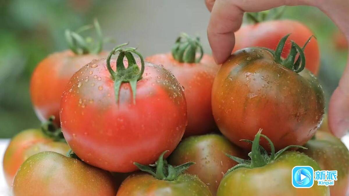 a4061fdffc628b158b6c6cbb8fec61d9