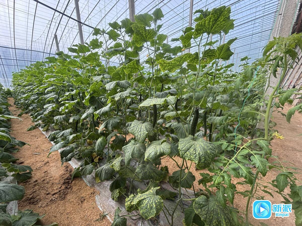 ee48fe893ade4e4f99c20fb555b67102