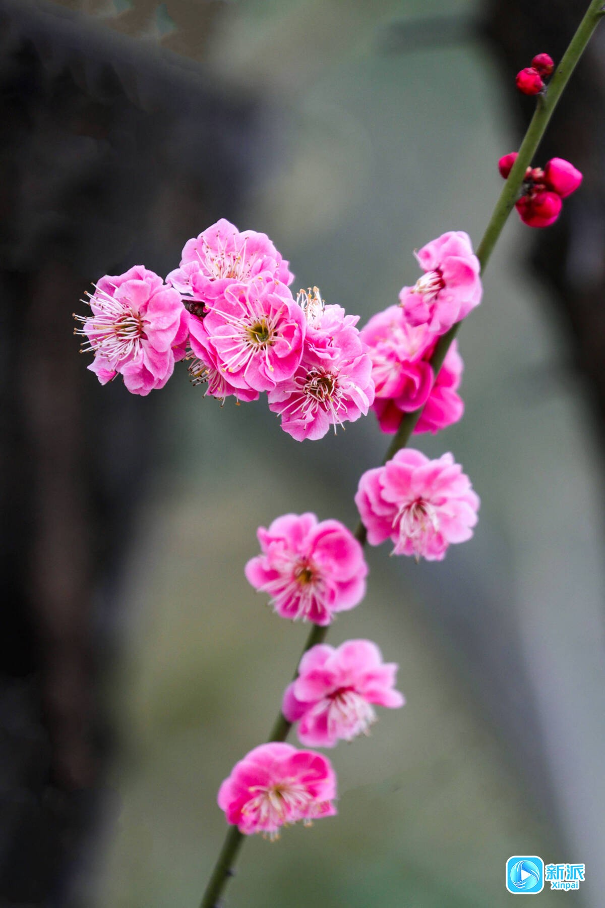 1103e1bfdece02f92ba24b57ba56fafe