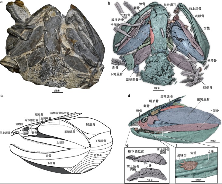 7b386e5e4d8d4e97ad3c0e4df7dc81d4