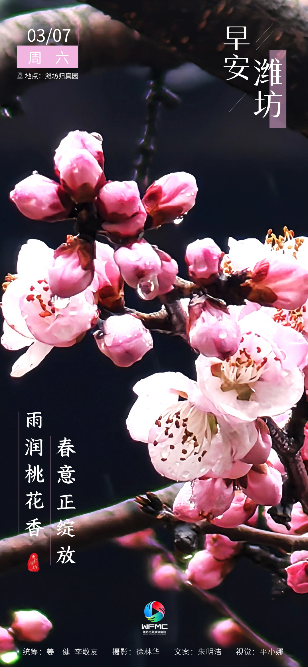 微信圖片_20260305174824_342_86