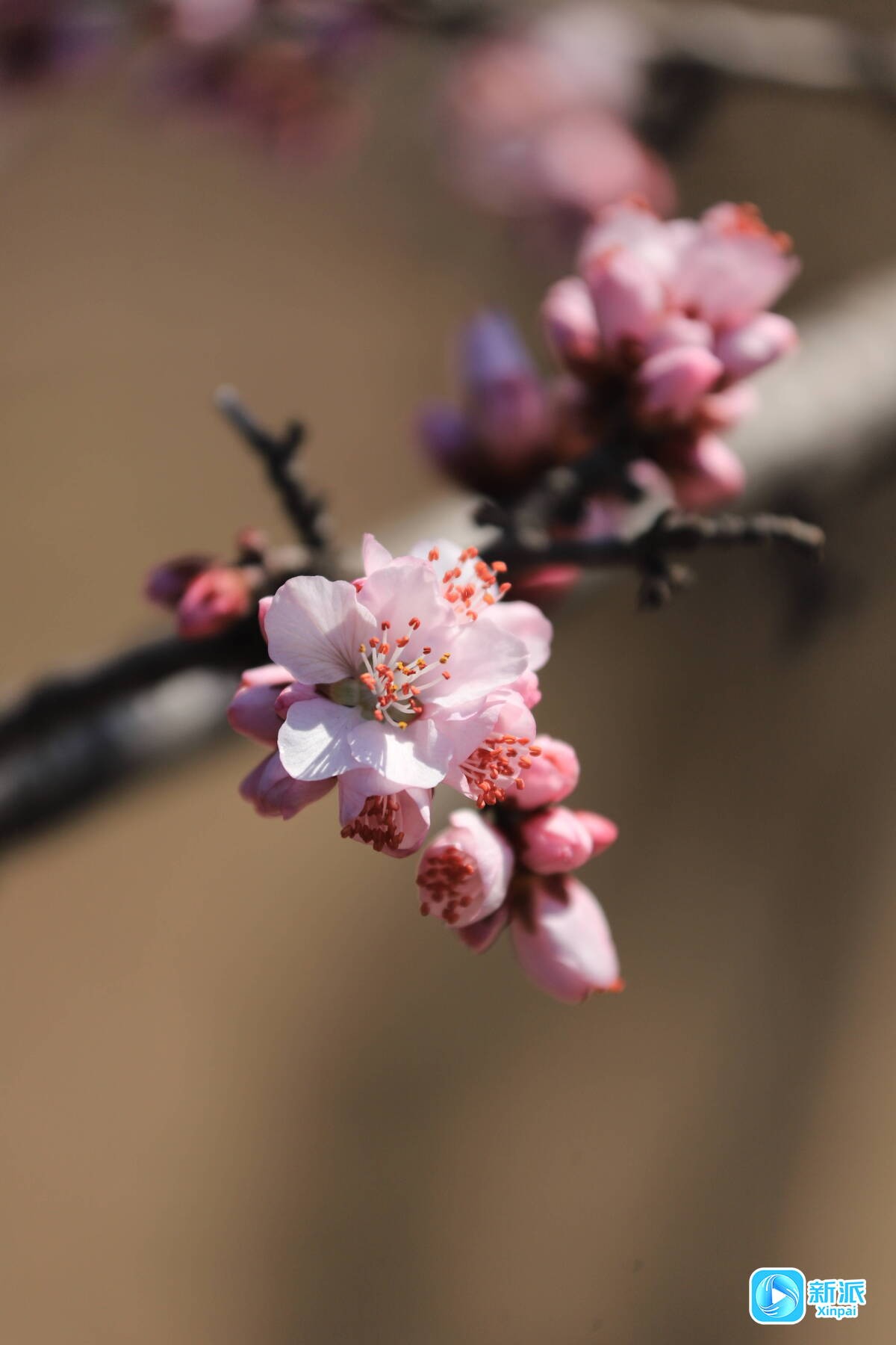 a49f6675e377fc4aedda9dc30629e937