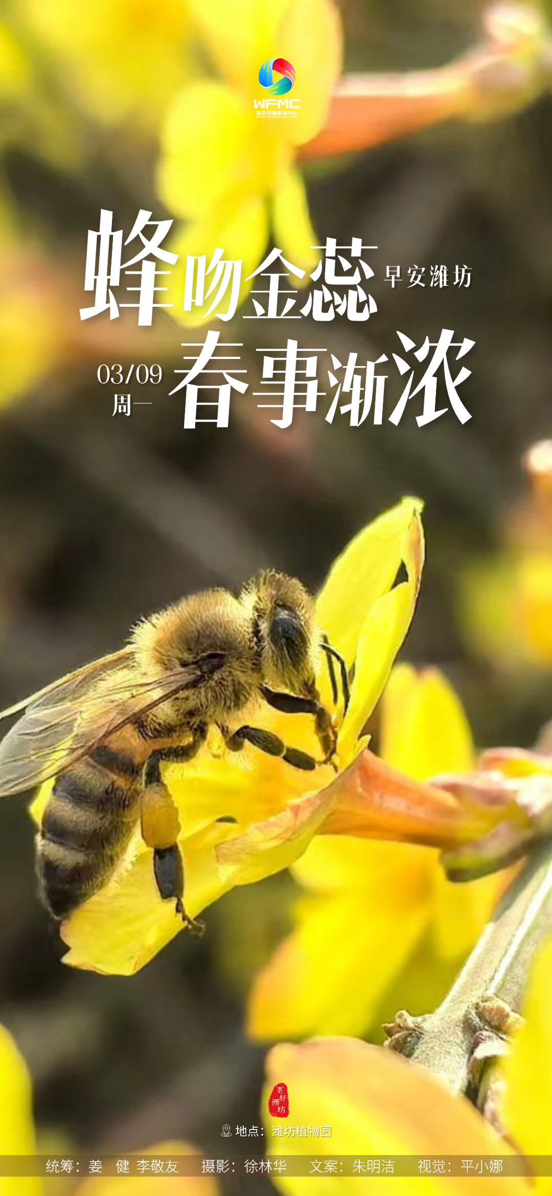 微信图片_20260306144030_530_178