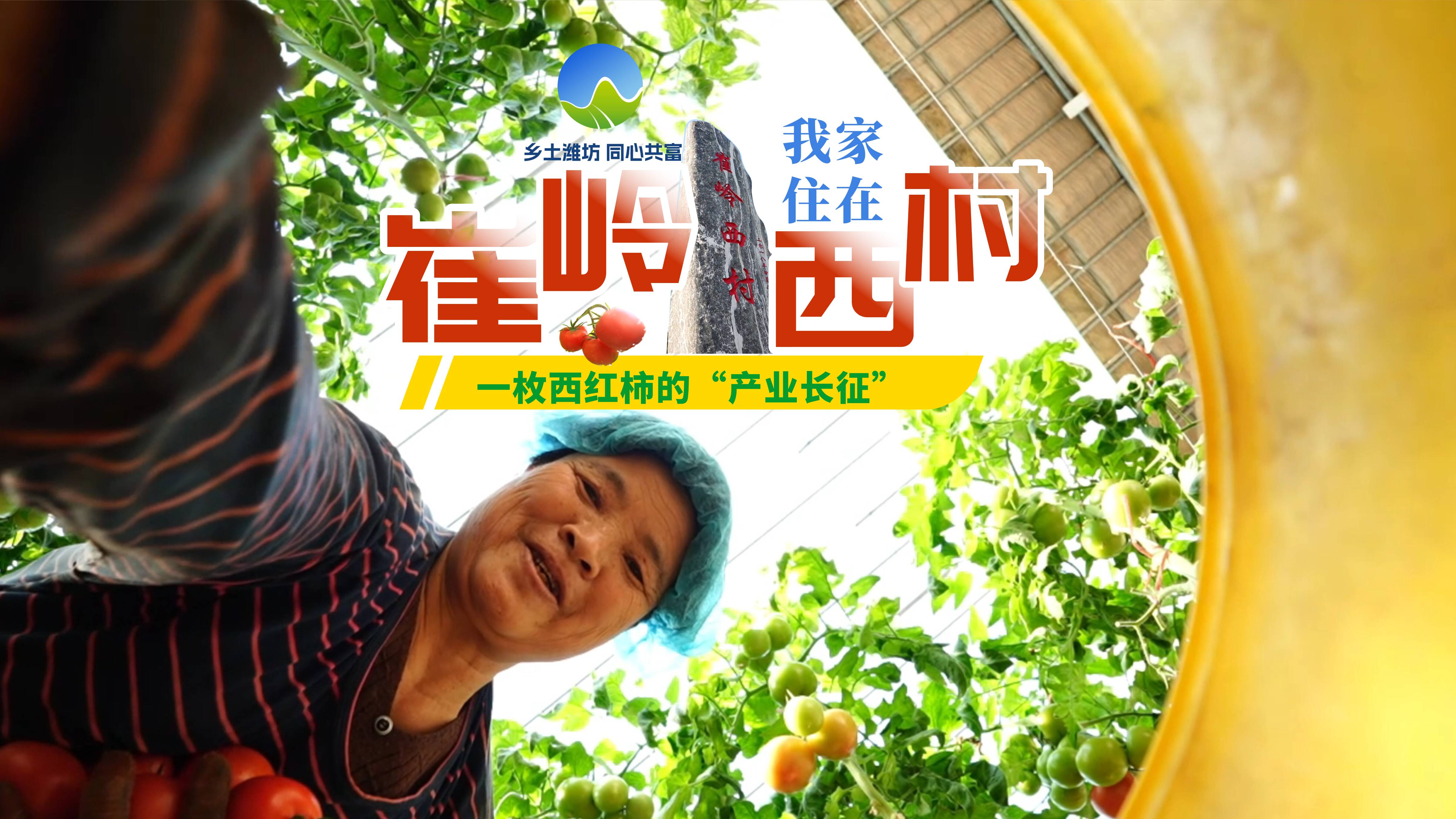 7a218510a9a543738908b5ad32f6d091