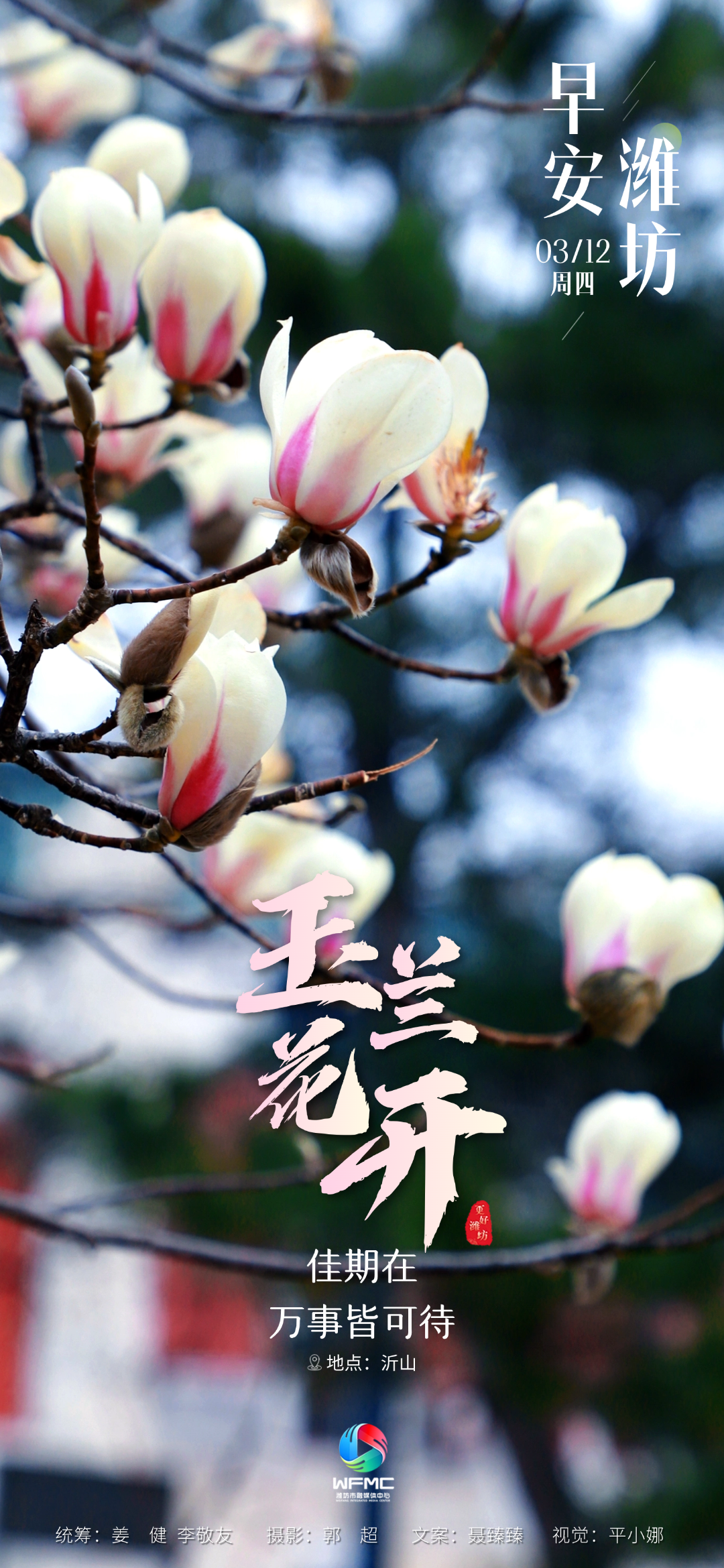 微信图片_20260311101912_363_86